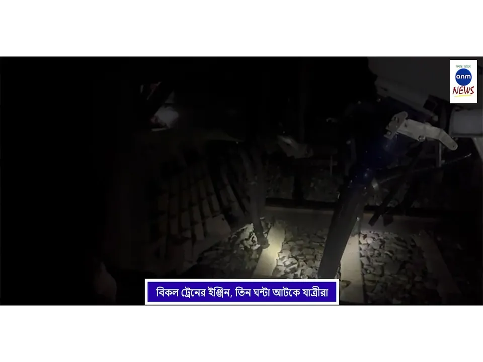 WhatsApp Image 2025-07-15 at 2.31.24 PM