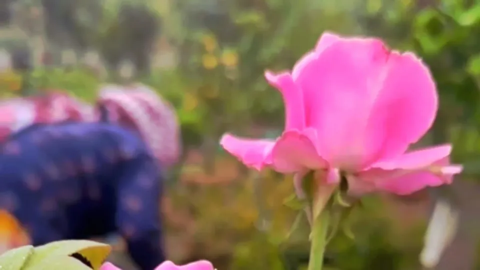 WhatsApp Image 2025-08-03 at 9.37.27 PM