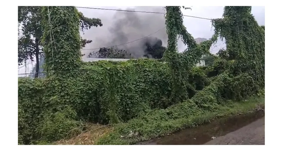 WhatsApp Image 2025-08-05 at 15.44.50