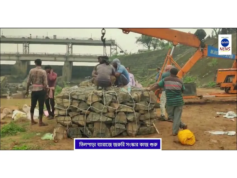 WhatsApp Image 2025-08-11 at 2.12.17 PM