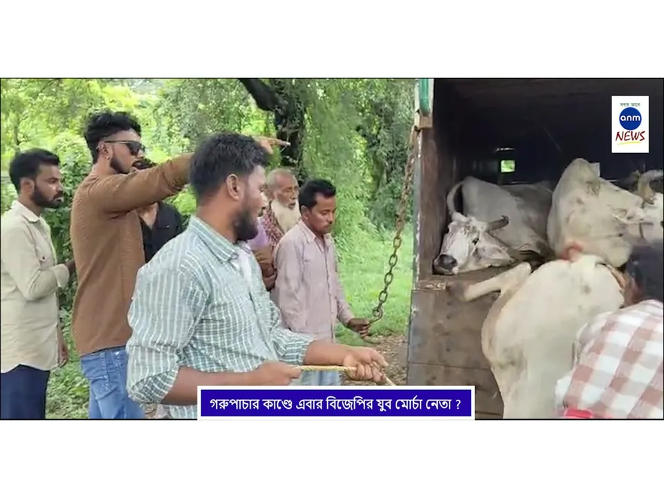 WhatsApp Image 2025-08-11 at 16.42.02