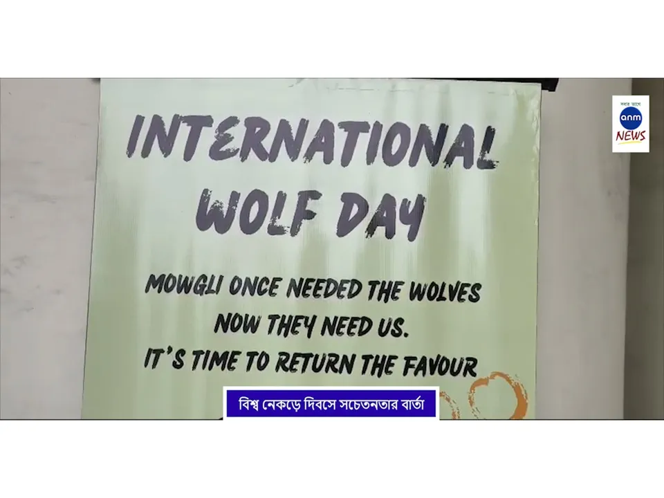 WhatsApp Image 2025-08-13 at 2.36.28 PM