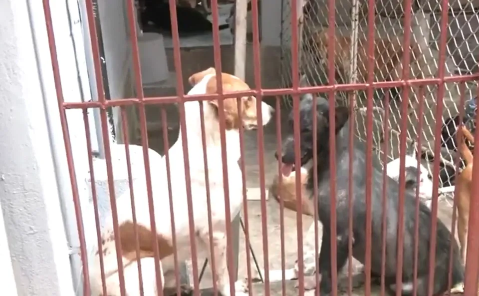 WhatsApp Image 2025-08-14 at 00.39.44