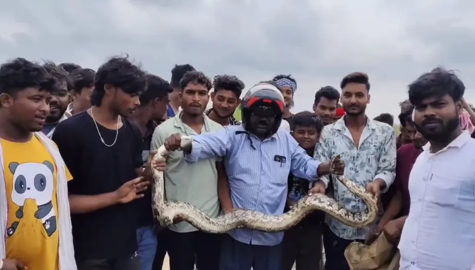 WhatsApp Image 2025-08-25 at 10.51.02 AM