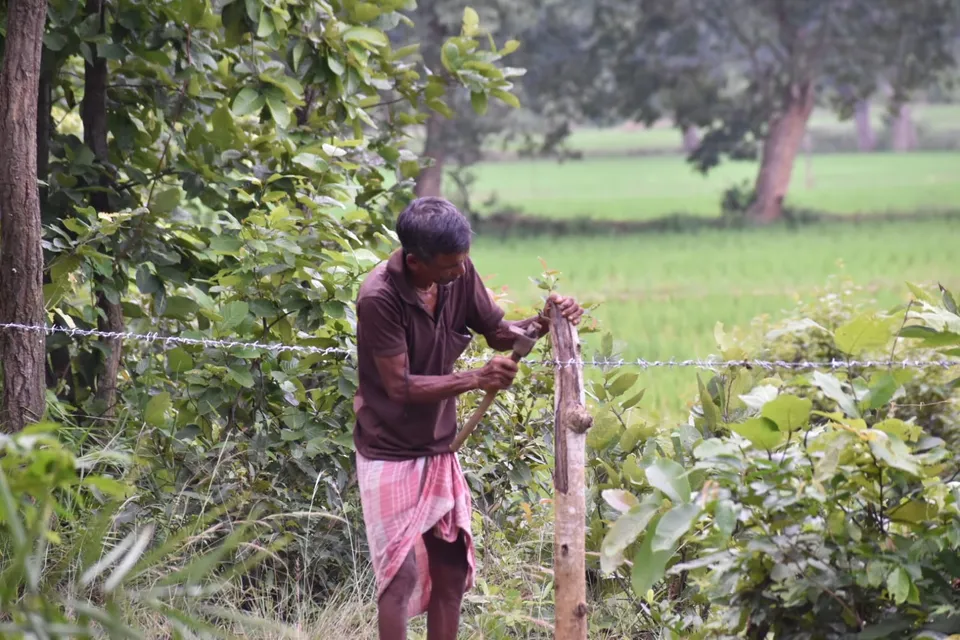 WhatsApp Image 2025-08-27 at 5.11.12 PM