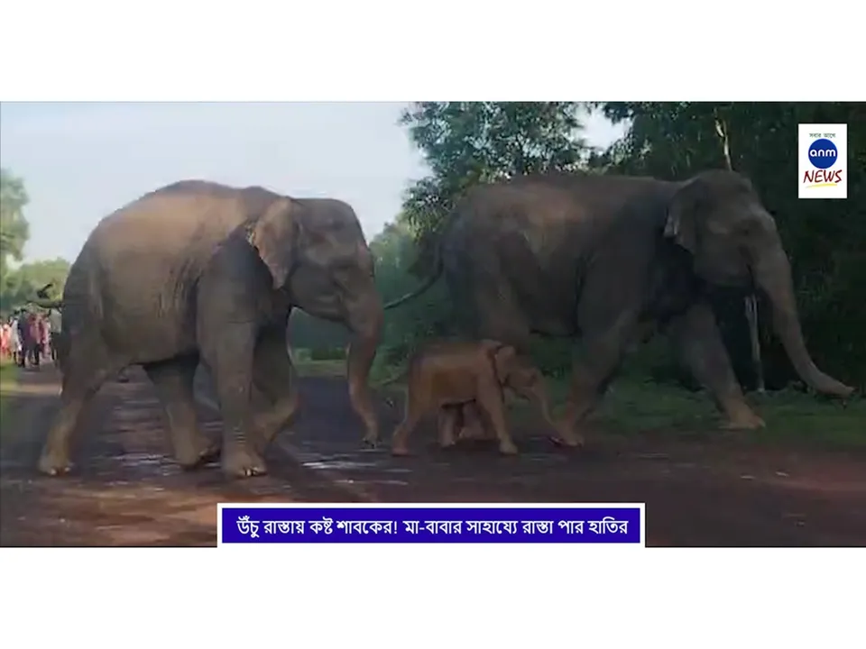 WhatsApp Image 2025-09-02 at 3.13.41 PM