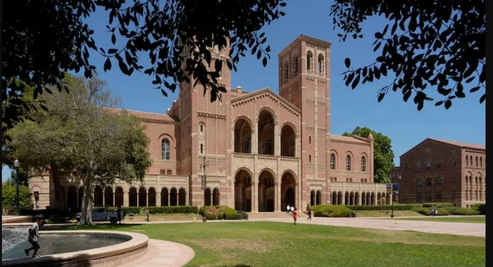 california univesity