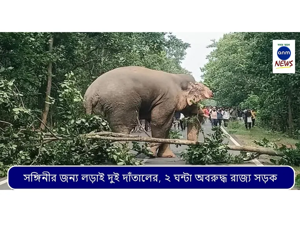 WhatsApp Image 2025-10-08 at 6.22.29 PM