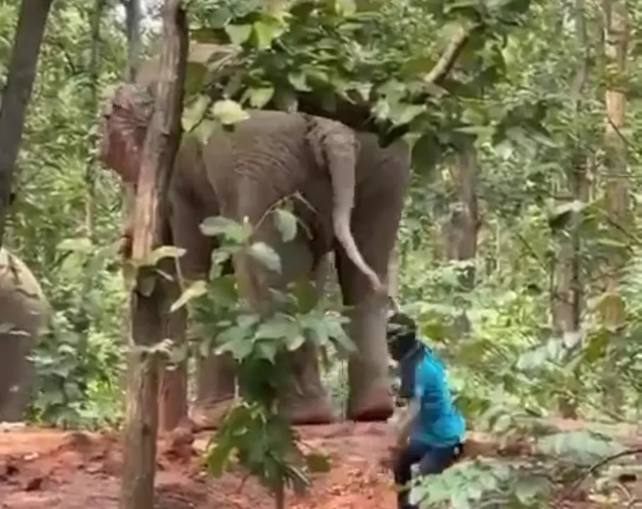 WhatsApp Image 2025-10-09 at 6.17.41 PM