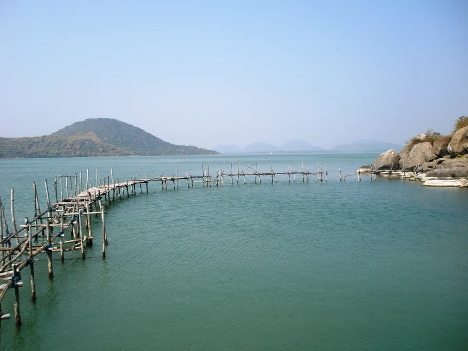 chilika4