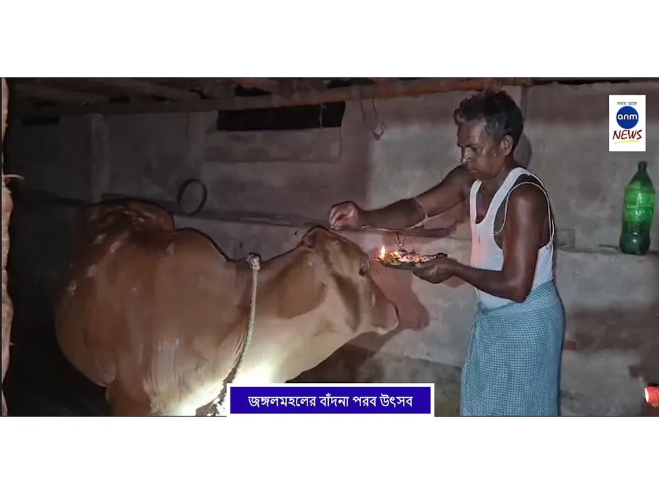 WhatsApp Image 2025-10-23 at 1.35.35 PM