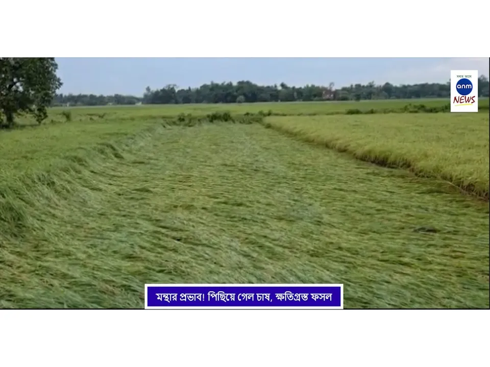 WhatsApp Image 2025-10-29 at 2.13.00 PM