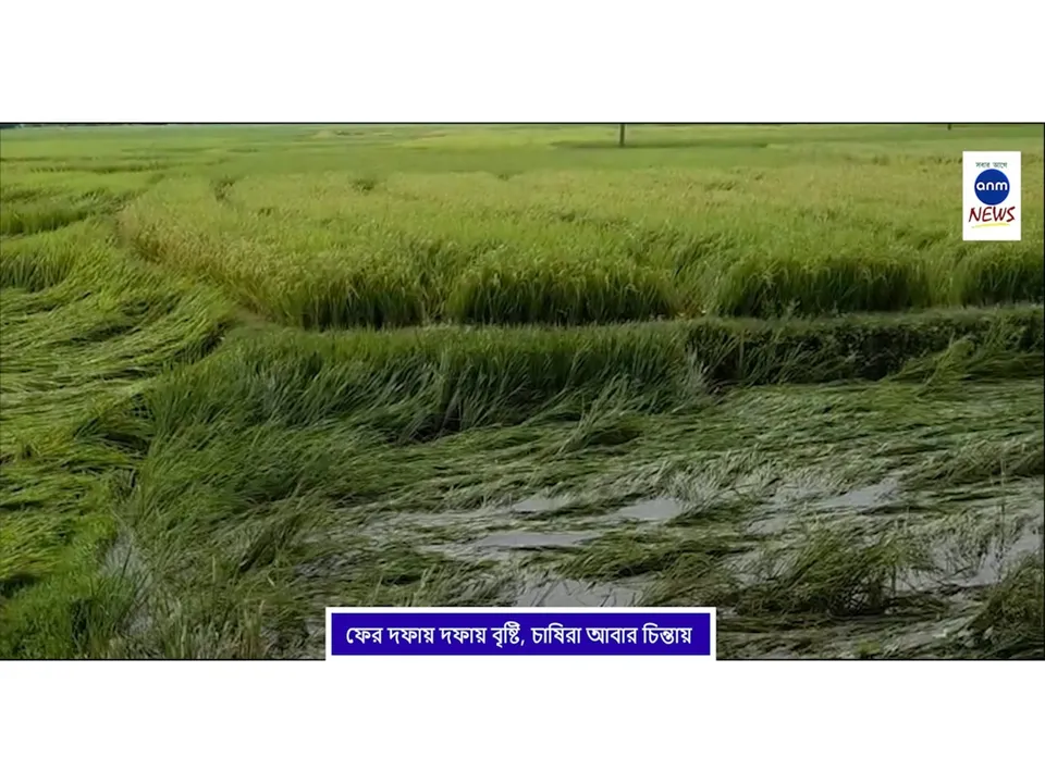 WhatsApp Image 2025-10-30 at 5.23.30 PM