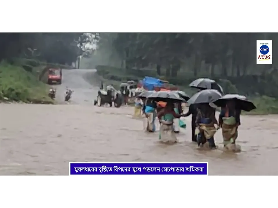 WhatsApp Image 2025-10-31 at 18.53.25