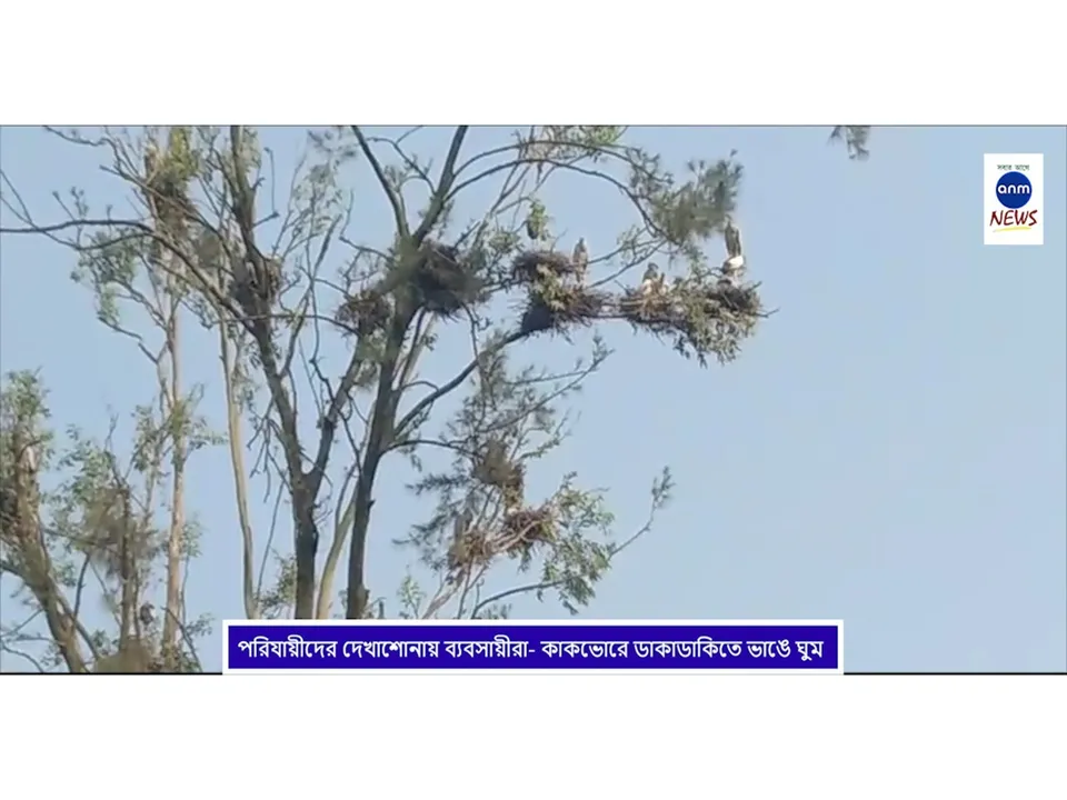 WhatsApp Image 2025-11-12 at 3.18.58 PM (1)