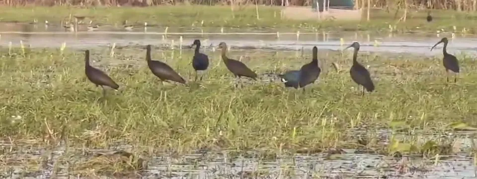 Screenshot 2025-11-26 6.23.46 AM