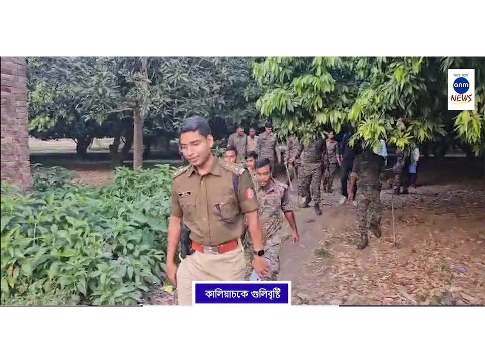 WhatsApp Image 2025-11-27 at 4.47.44 PM