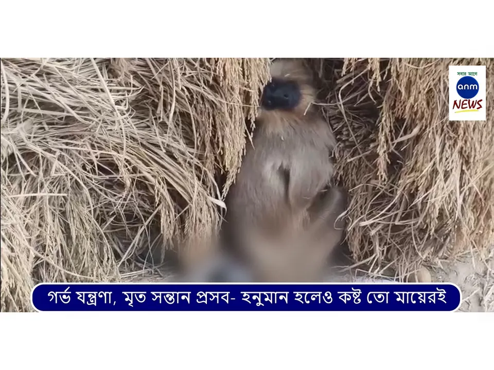 WhatsApp Image 2025-12-03 at 3.09.04 PM