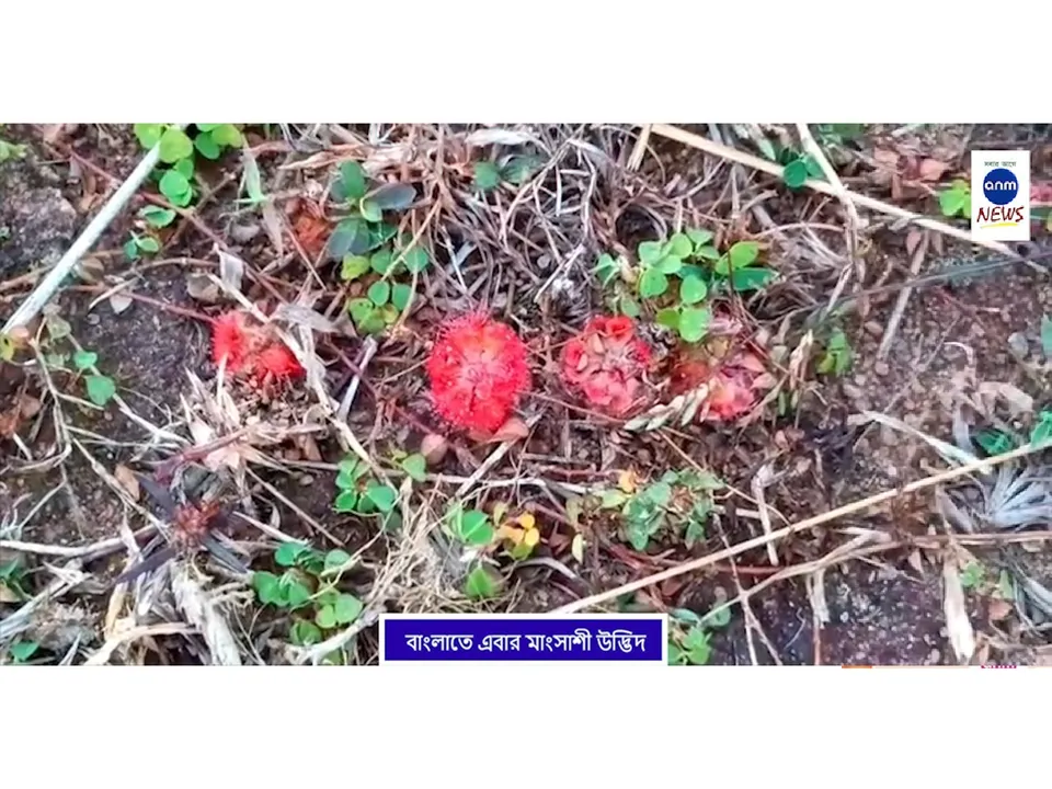 WhatsApp Image 2025-12-04 at 6.12.27 PM