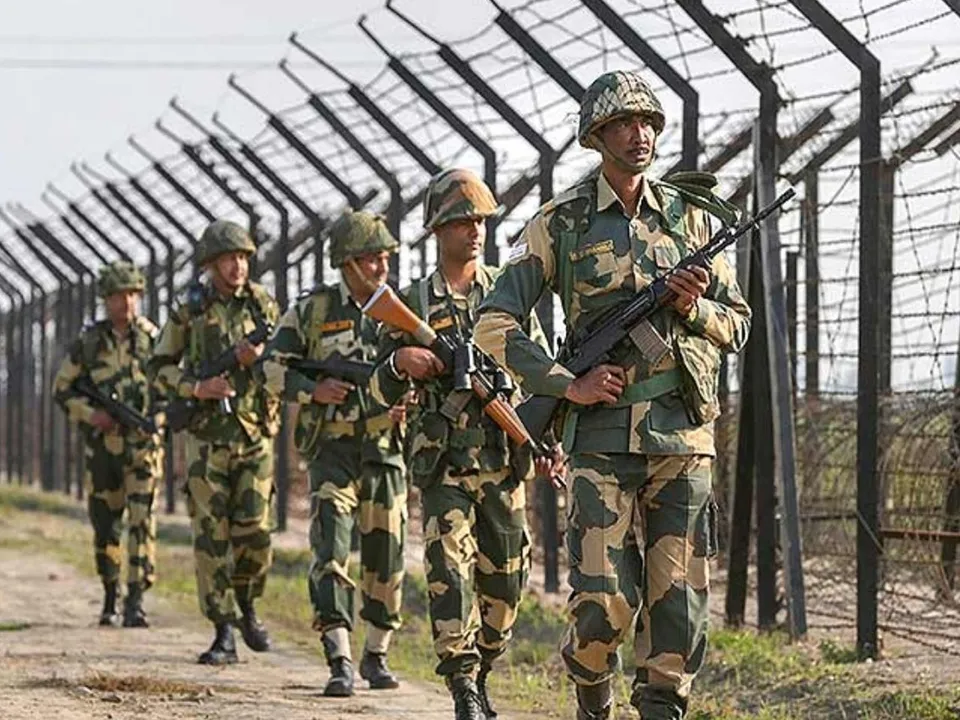 bsf.jpg