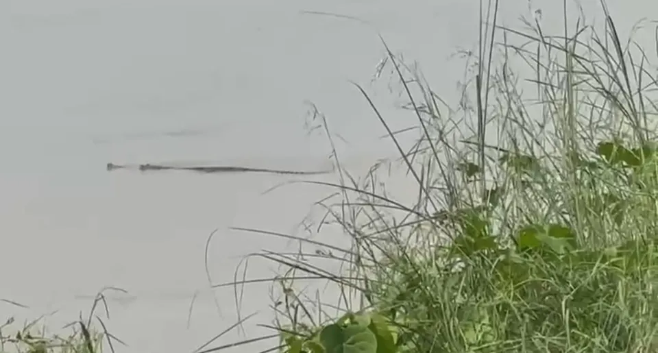 WhatsApp Image 2023-09-02 at 16.15.47.jpeg