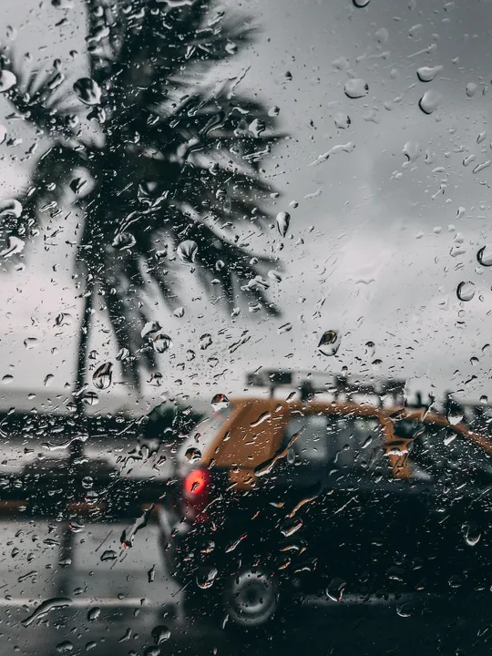 rain 4.jpg