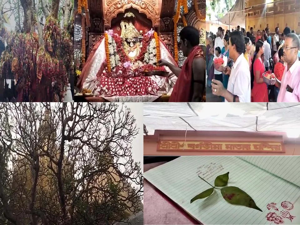 বর্গভীমা মন্দির