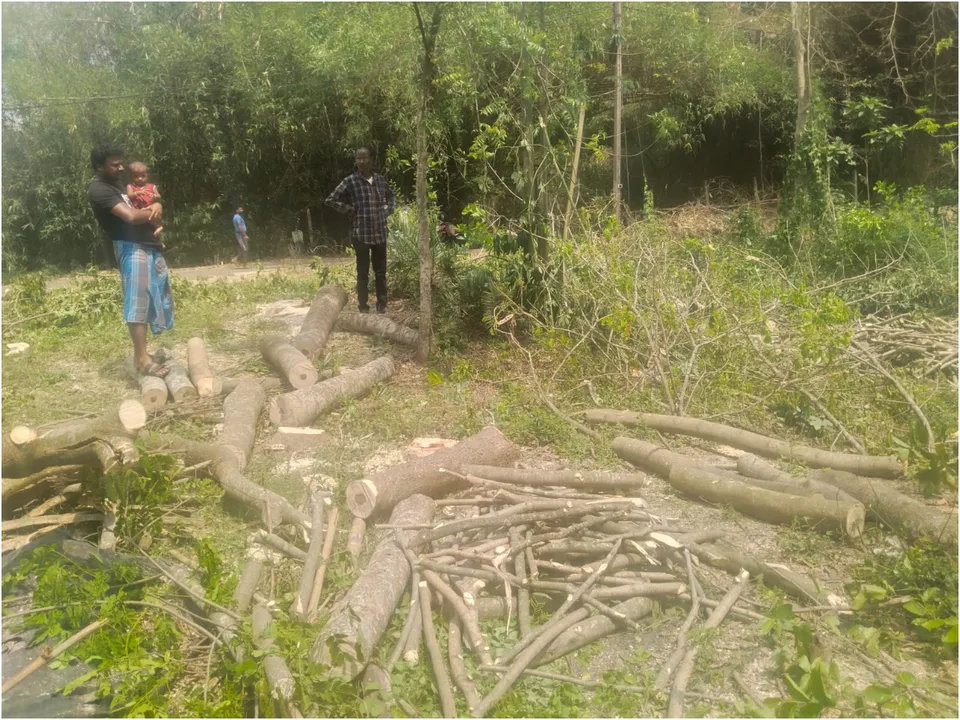 forest department medinipore.jpg