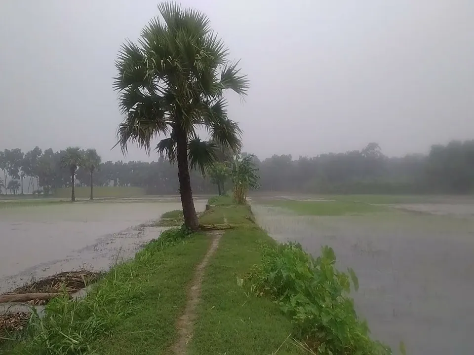 bangla desh