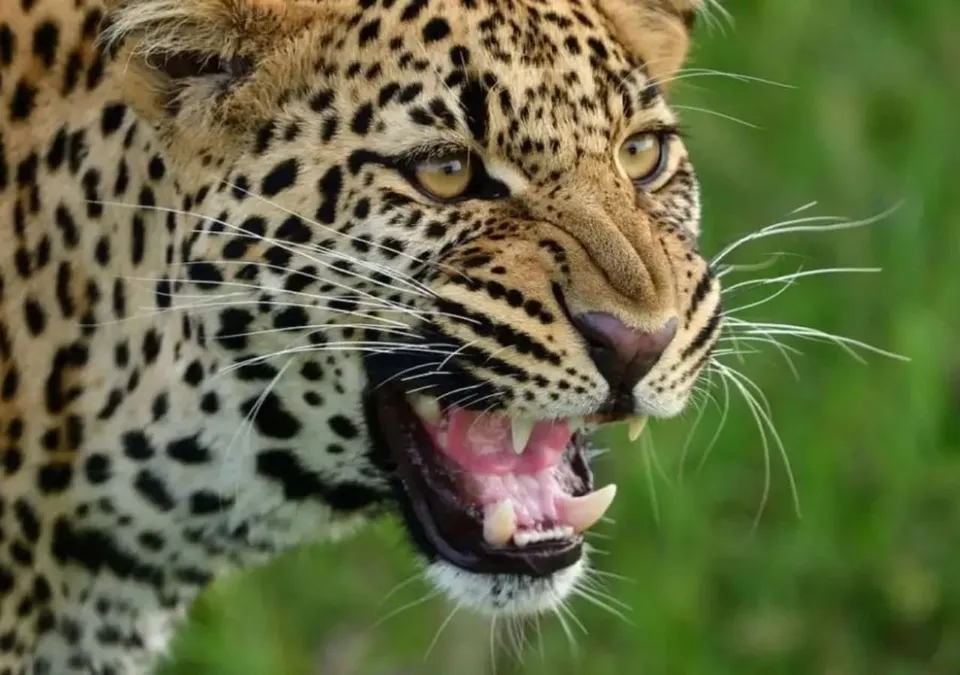 WhatsApp Image 2023-09-03 at 15.27.12.jpeg