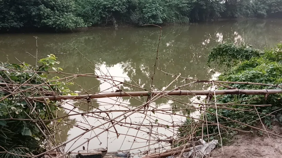 WhatsApp Image 2023-08-31 at 18.45.53.jpeg