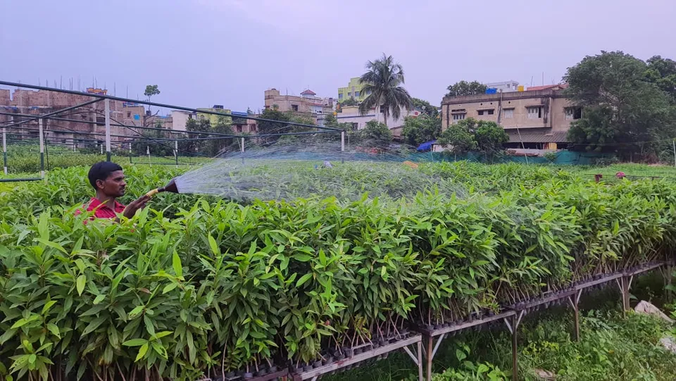 WhatsApp Image 2024-06-03 at 9.56.27 AM.jpeg