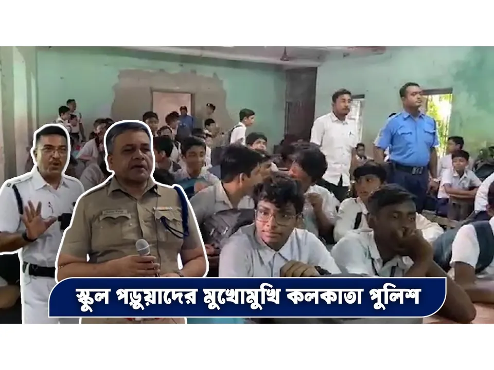 BENG COV kol pol.jpg