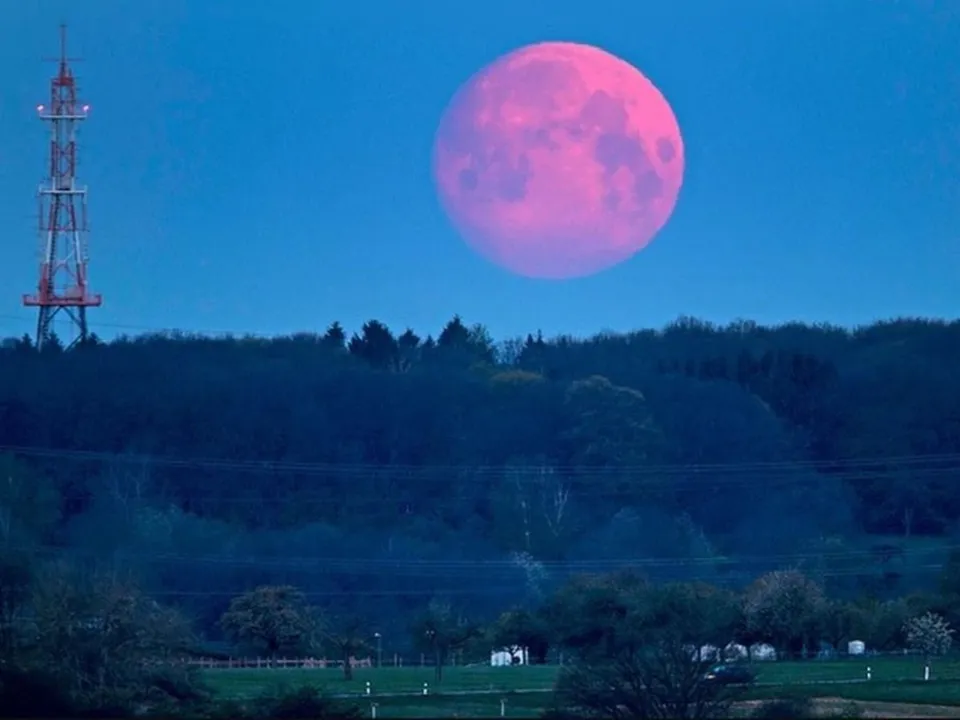 pinkmoon