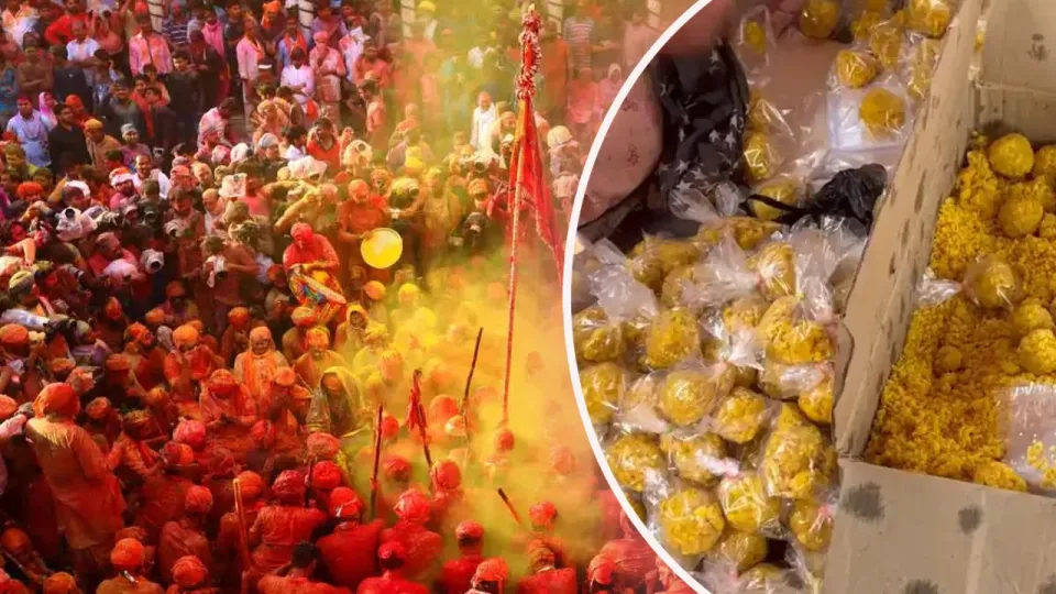 লাড্ডু হোলির আনন্দে মত্ত মথুরা বাসী!