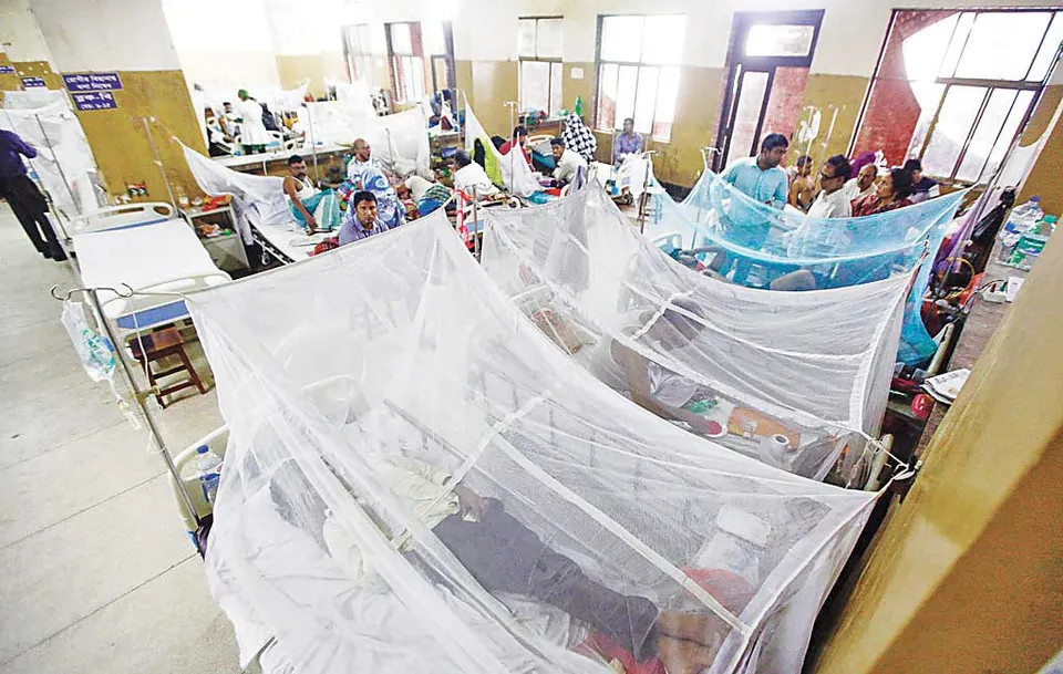 incidents2019-dengue-mehedi-hasan-1577642683247.jpeg