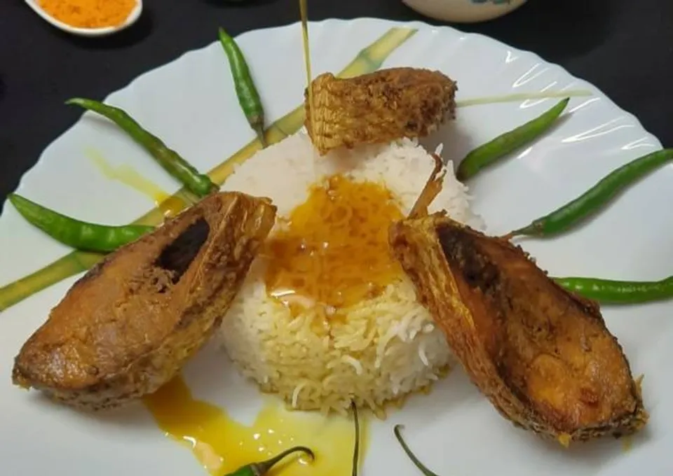 Taja-Fish-ezgif.com-rotate