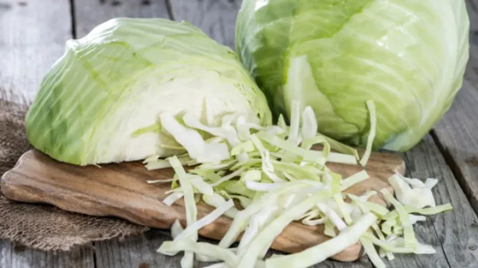 625-cabbage_625x350_71422713705.webp