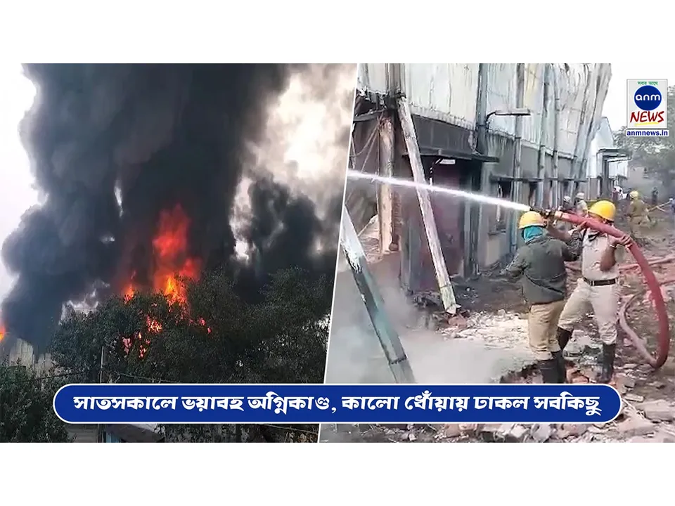 WhatsApp Image 2024-02-24 at 10.04.32.jpeg