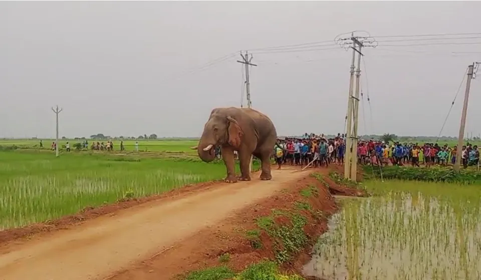 Screenshot 2023-08-25 084328.jpg