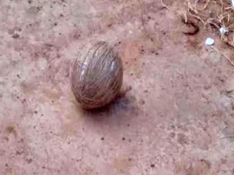 ১১২৩