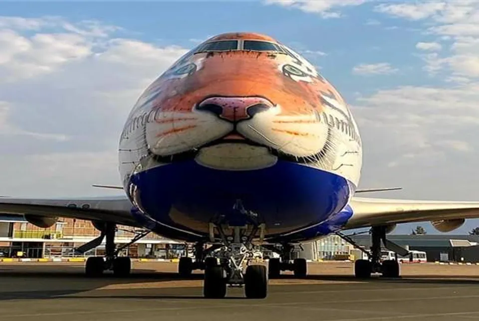 ৭০ বছর পর ভারতে কামব্যাক চিতার, বিমান সাজানো হল বাঘের মুখে