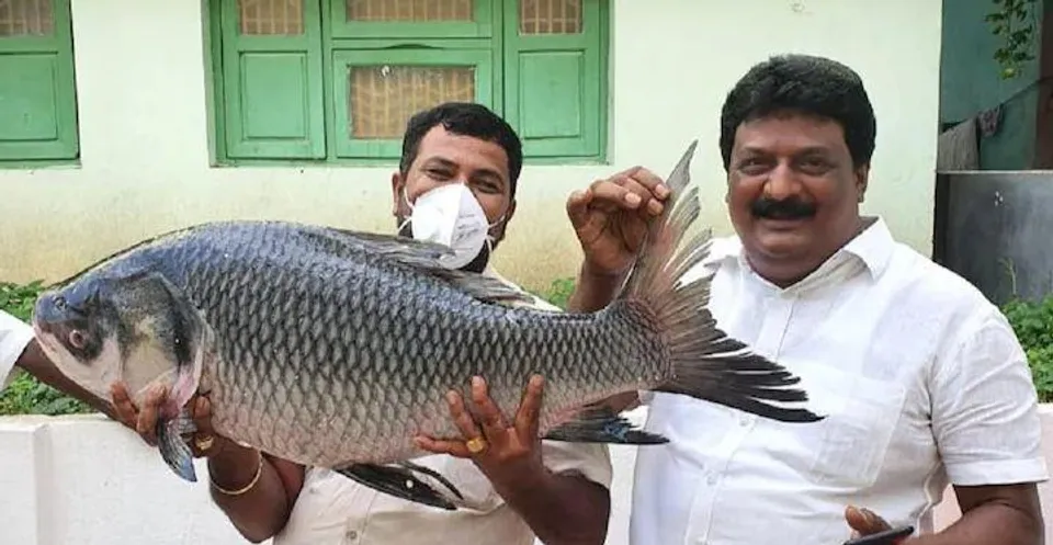 বিয়ের পর মেয়েকে পাঠানো বাবার উপহার, ভাইরাল নেটদুনিয়ায়