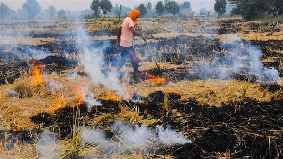 খড় পোড়ানোর বিরুদ্ধে লড়াইয়ের জন্য বিস্তৃত পরিকল্পনা করছে সরকার
