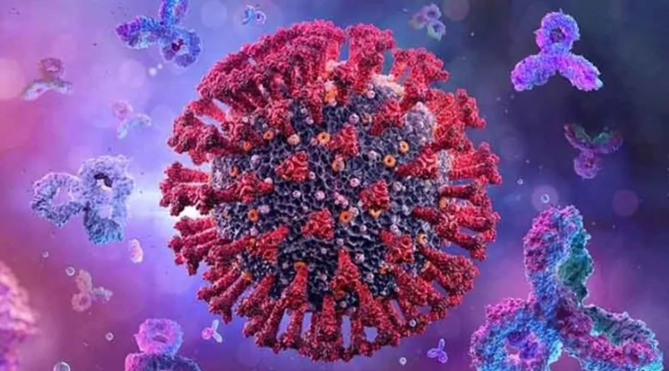 গত ২৪ ঘণ্টায় দেশে করোনা আক্রান্তের সংখ্যা কমলো ১৪ শতাংশ