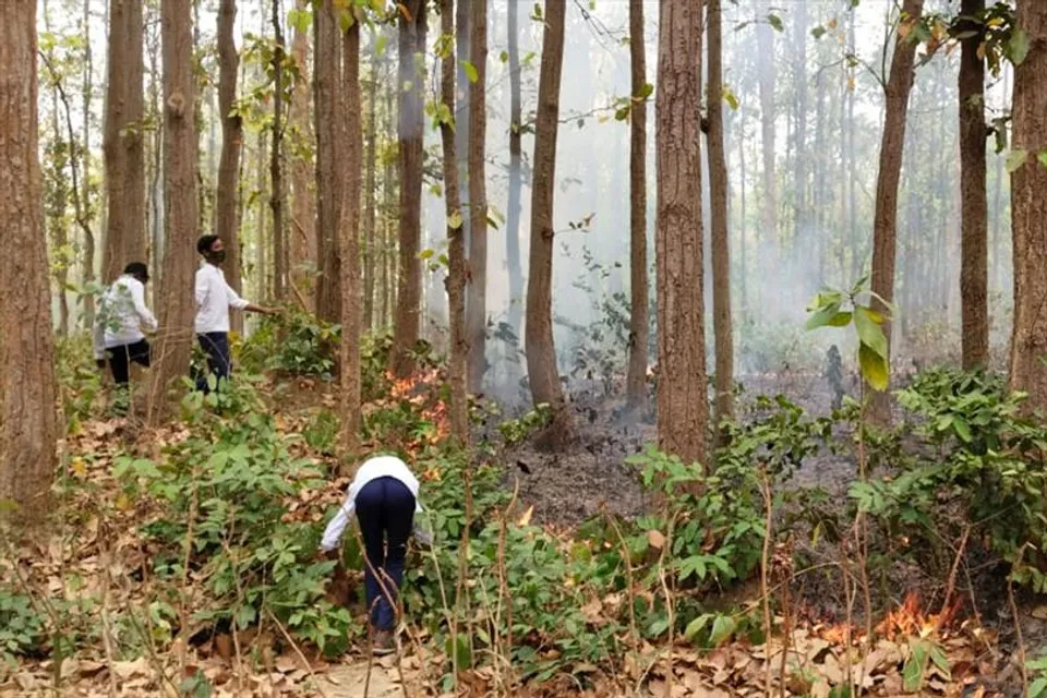 স্কুলের প্রেয়ার লাইন থেকে আগুন নেভাতে দৌড় ছাত্রদের, কুর্নিশ বন দফতরের