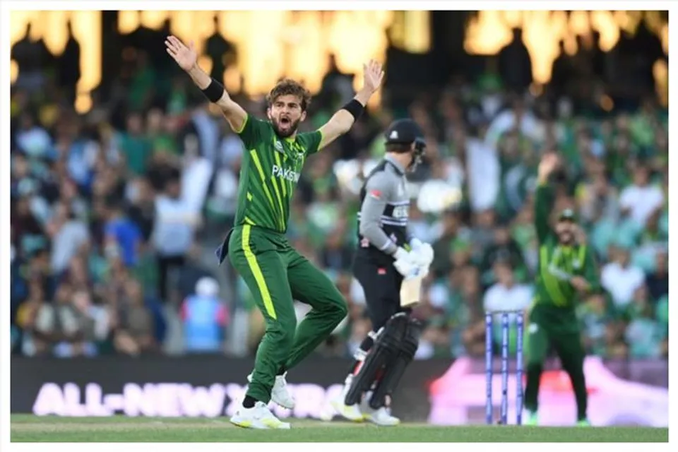 হল না উইলিয়ামসনের ৫০