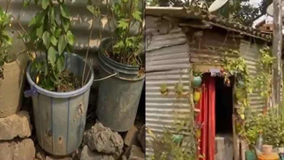 কসবায় উদ্ধার তাজা বোমা