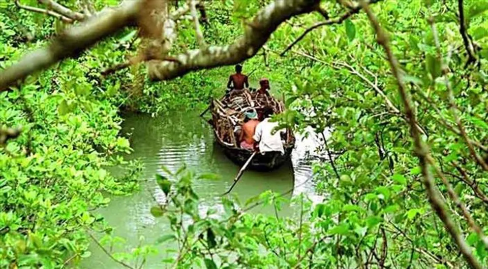 সুন্দরবনে বেড়াতে গিয়ে বিপত্তি, রাতে নৌকা থেকে নিখোঁজ পর্যটক