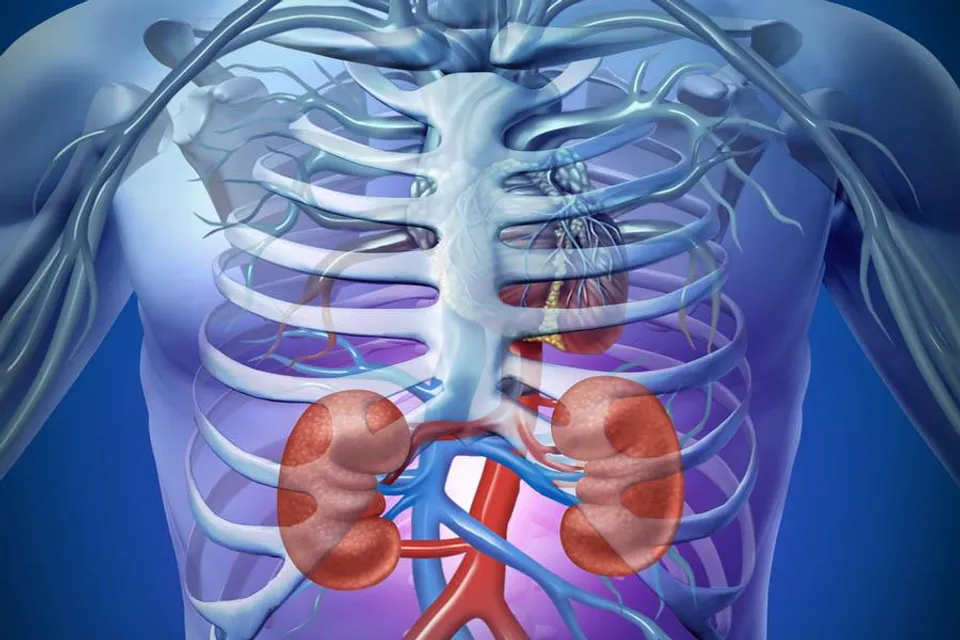 বিশ্ব কিডনি দিবসঃ ১০ মার্চ